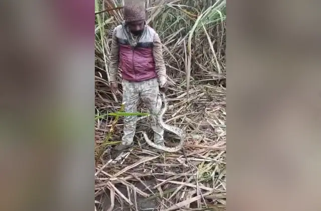 ಹು