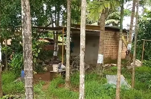 Ar
