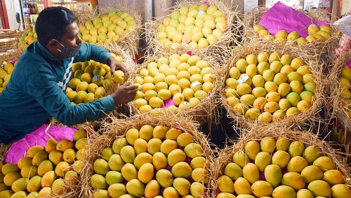 Mango 696x392