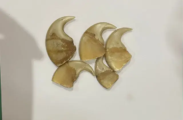 ಹ (1)